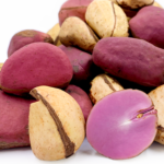 KOLA NUT 100G