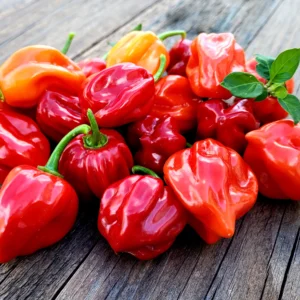 Habanero/Hot Peppers 100g