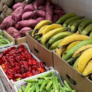 Fresh Product