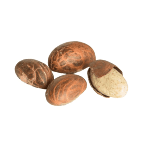 Bitter Kola Nut 100g (Orogbo, Gooro, Garcinia Kola)